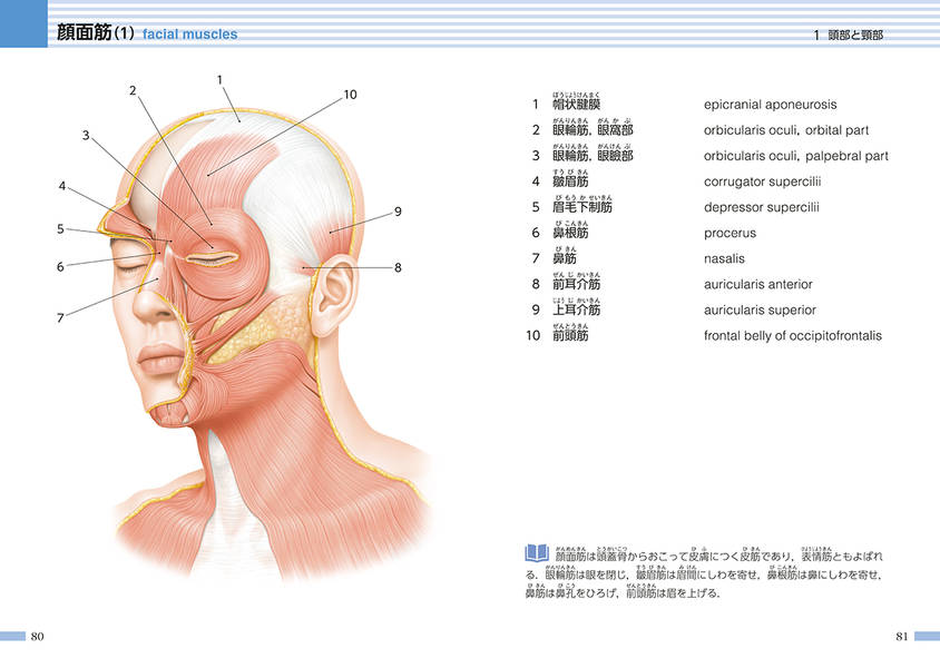 楽天ブックス からだの地図帳 解剖学用語 佐藤 達夫 本