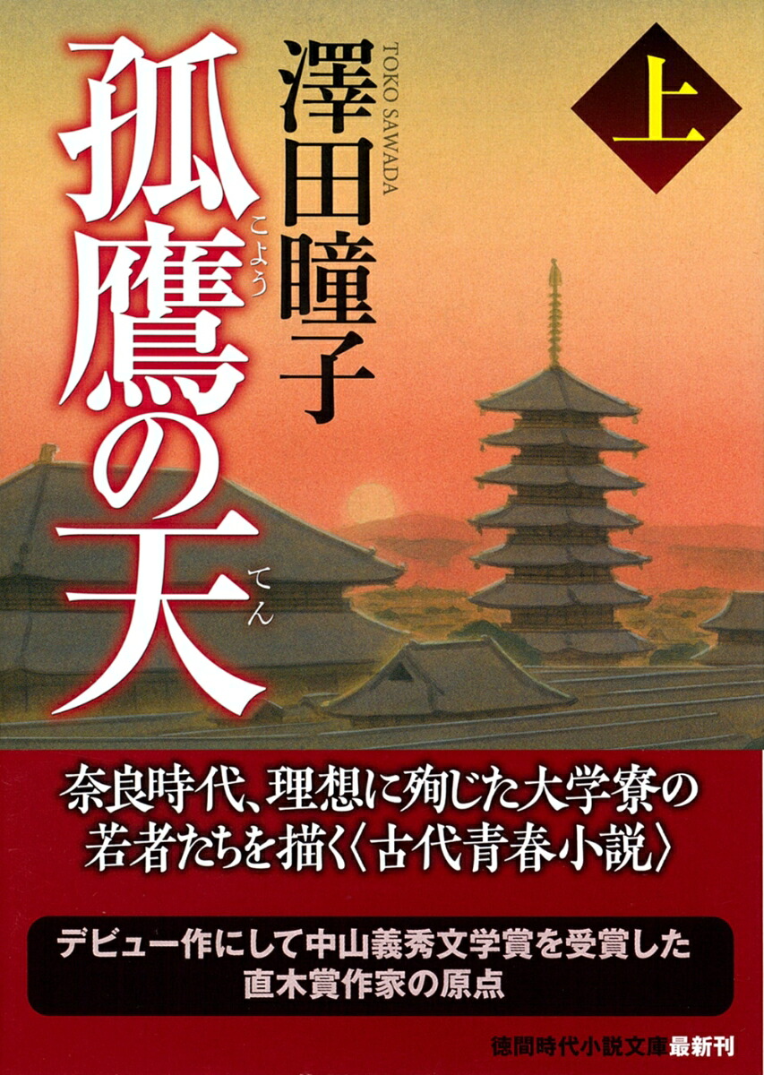 孤鷹の天上　〈新装版〉画像