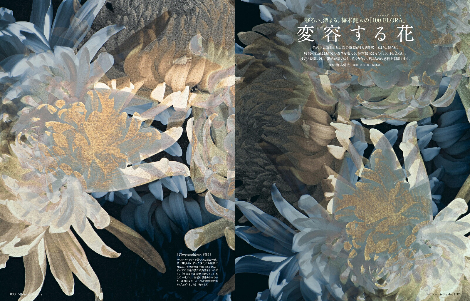 婦人画報2026年2月号[雑誌]