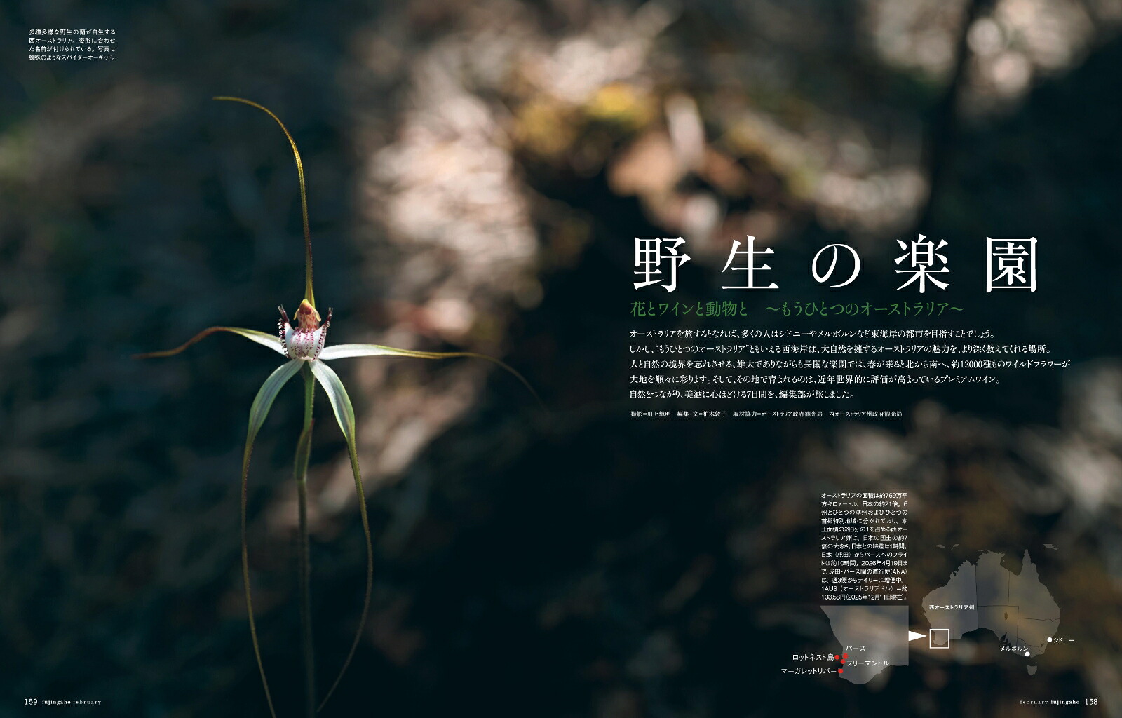 婦人画報2026年2月号[雑誌]