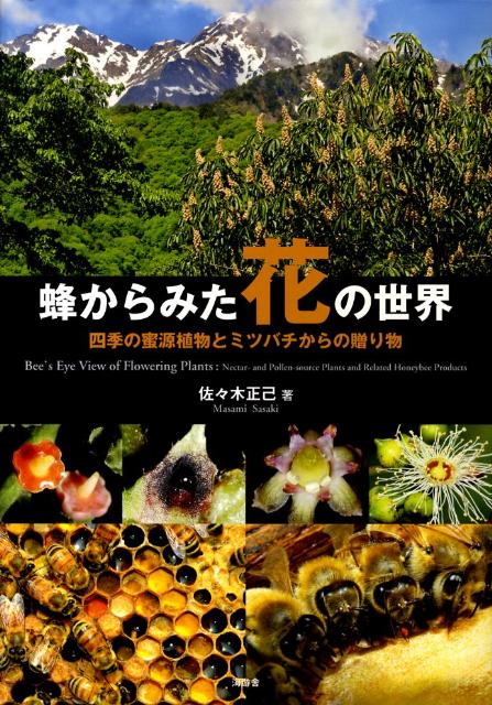 蜂からみた花の世界　四季の蜜源植物とミツバチからの贈り物