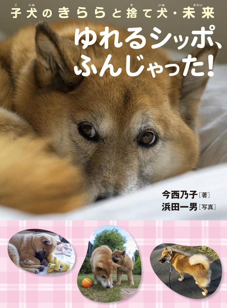 光をくれた犬たち 盲導犬の一生