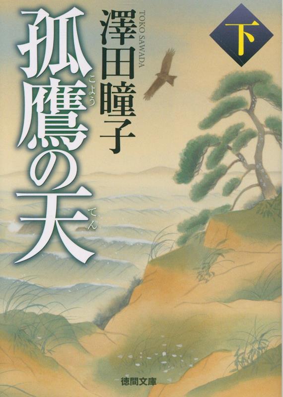 孤鷹の天下　〈新装版〉画像
