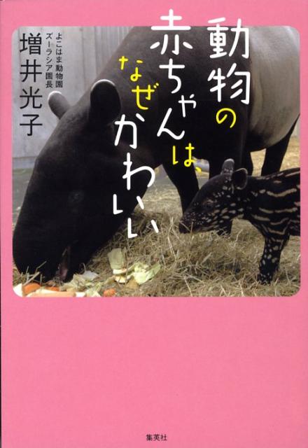 楽天ブックス 動物の赤ちゃんは なぜかわいい 増井光子 本