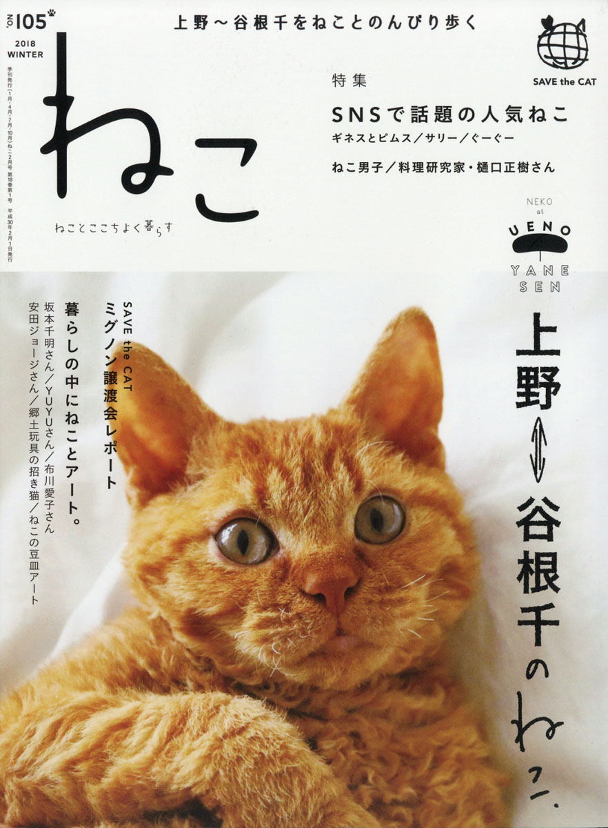 NEKO(ͥ)2018ǯ02[]