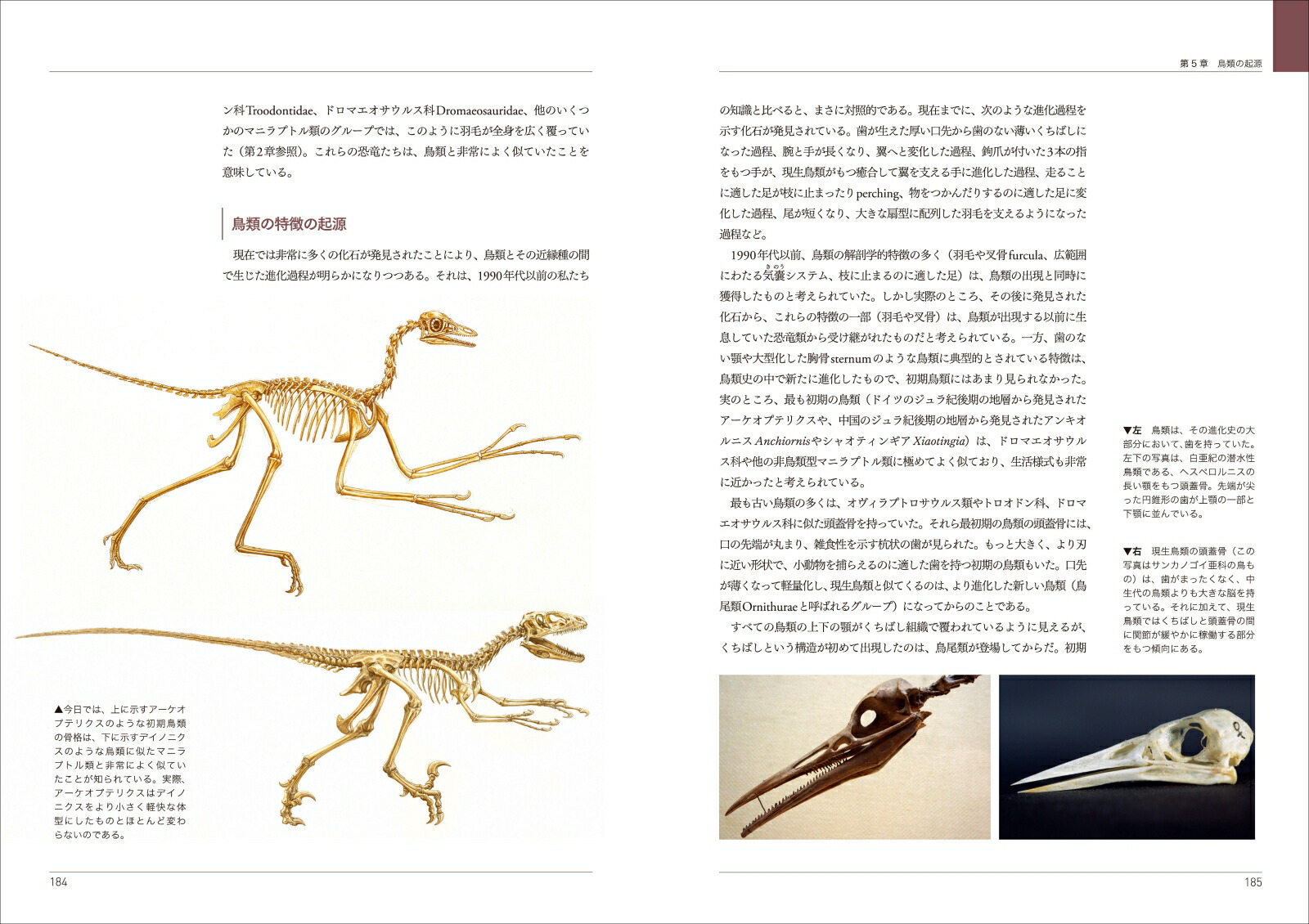 楽天ブックス 恐竜の教科書 最新研究で読み解く進化の謎 ダレン・ナイシュ 9784422430287 本