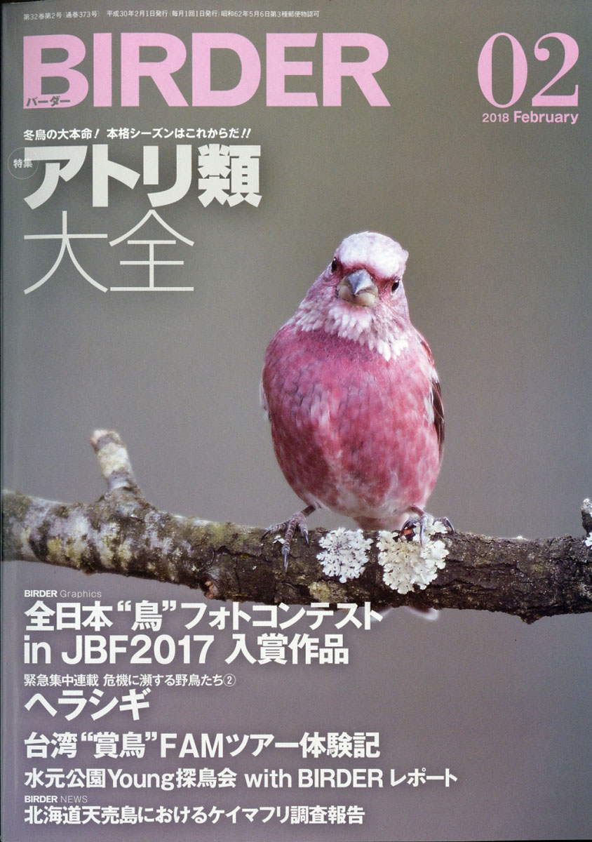 楽天ブックス: BIRDER (バーダー) 2018年 02月号 [雑誌] - 文一総合 