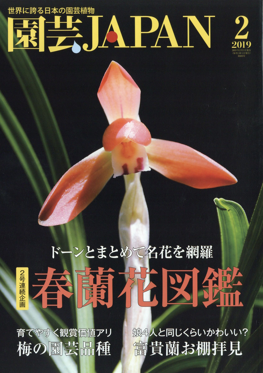 楽天ブックス 園芸japan ジャパン 19年 02月号 雑誌 エスプレス メディア出版 雑誌