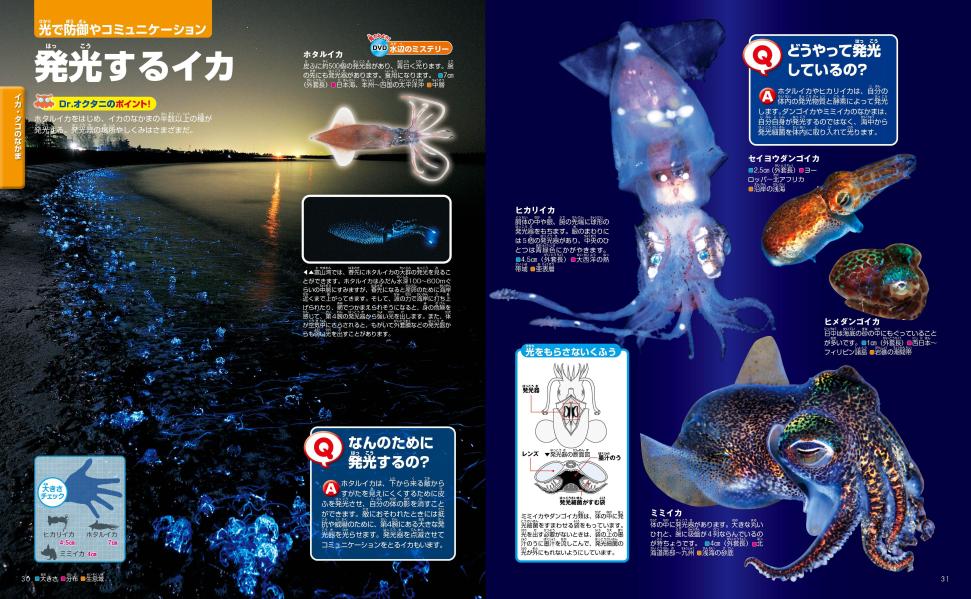 楽天ブックス: 水の中の生きもの - 講談社 - 9784062210294 : 本