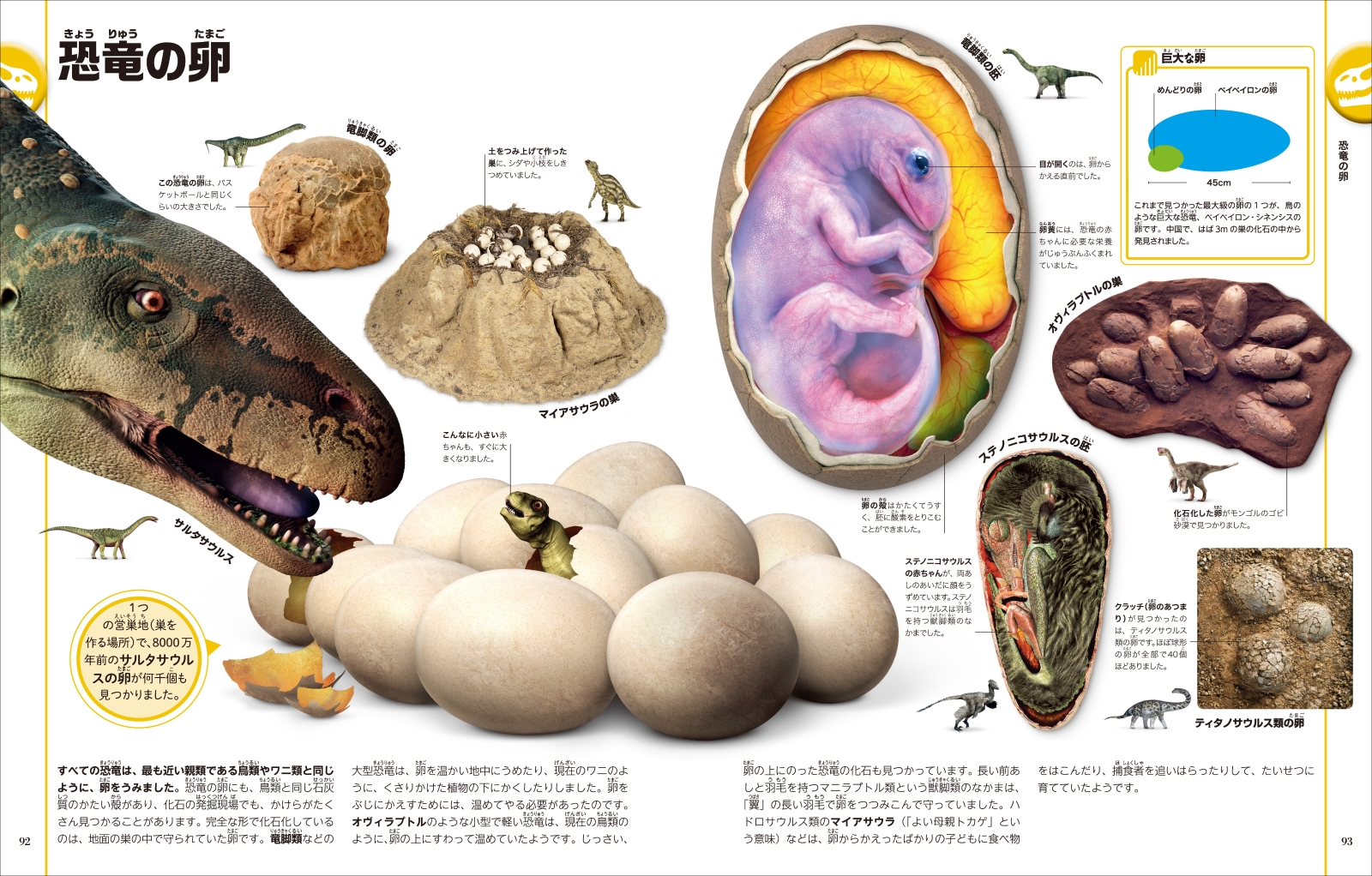 楽天ブックス 恐竜と古代の生き物図鑑 ダレン ナイシュ 本