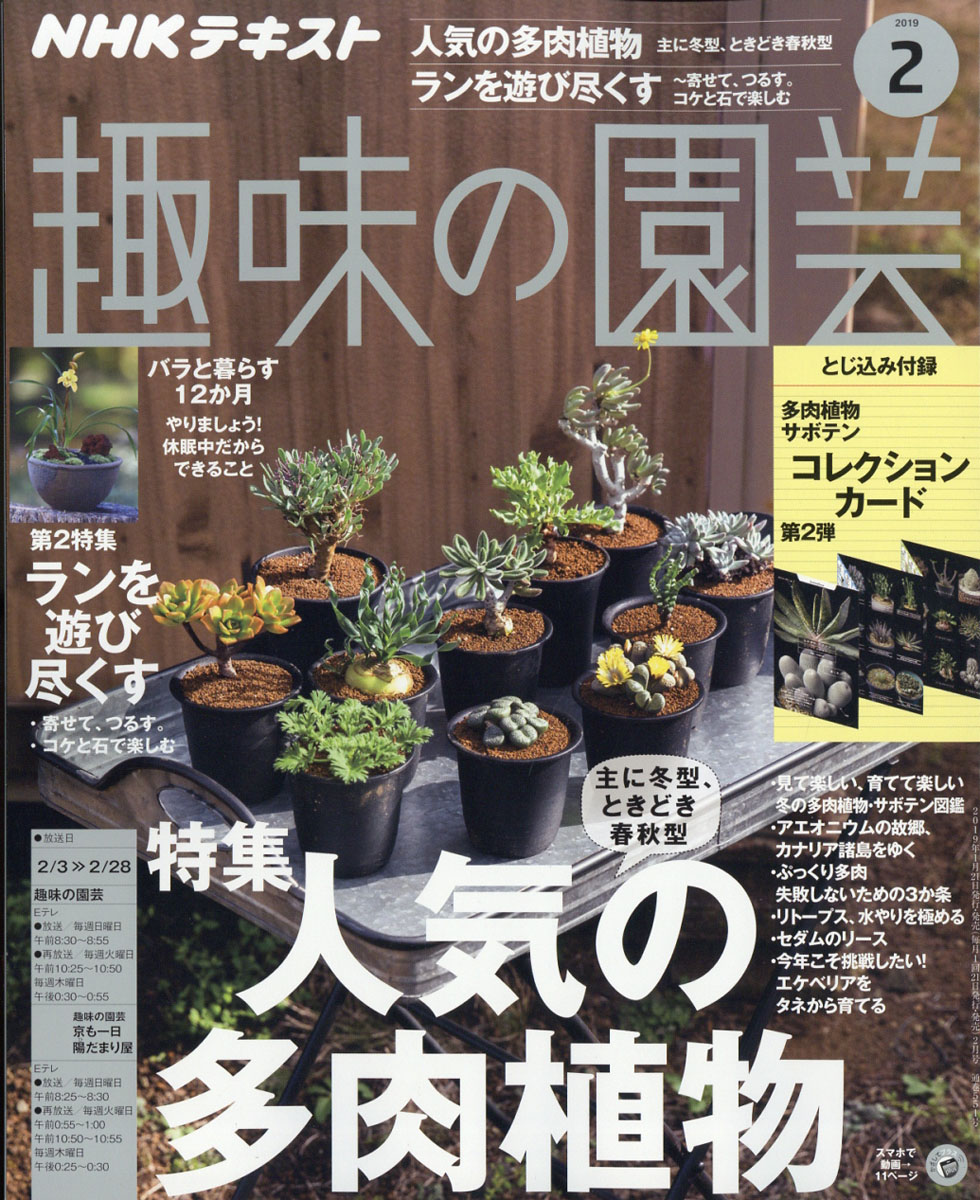 楽天ブックス Nhk 趣味の園芸 19年 02月号 雑誌 Nhk出版 雑誌