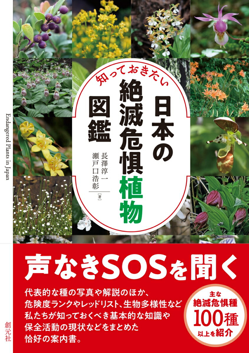 楽天ブックス 知っておきたい日本の絶滅危惧植物図鑑 長澤 淳一 本