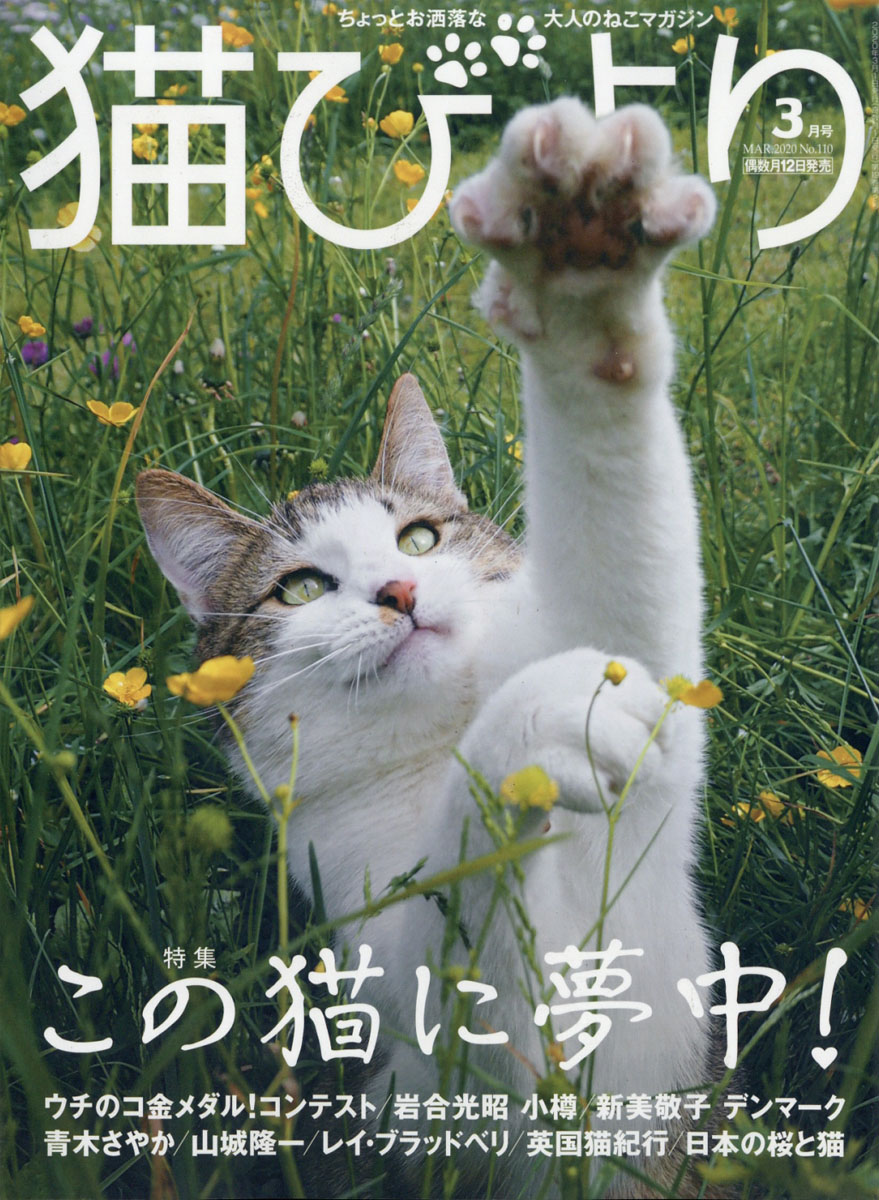 楽天ブックス 猫びより 2020年 03月号 雑誌 辰巳出版 4910072470303 雑誌