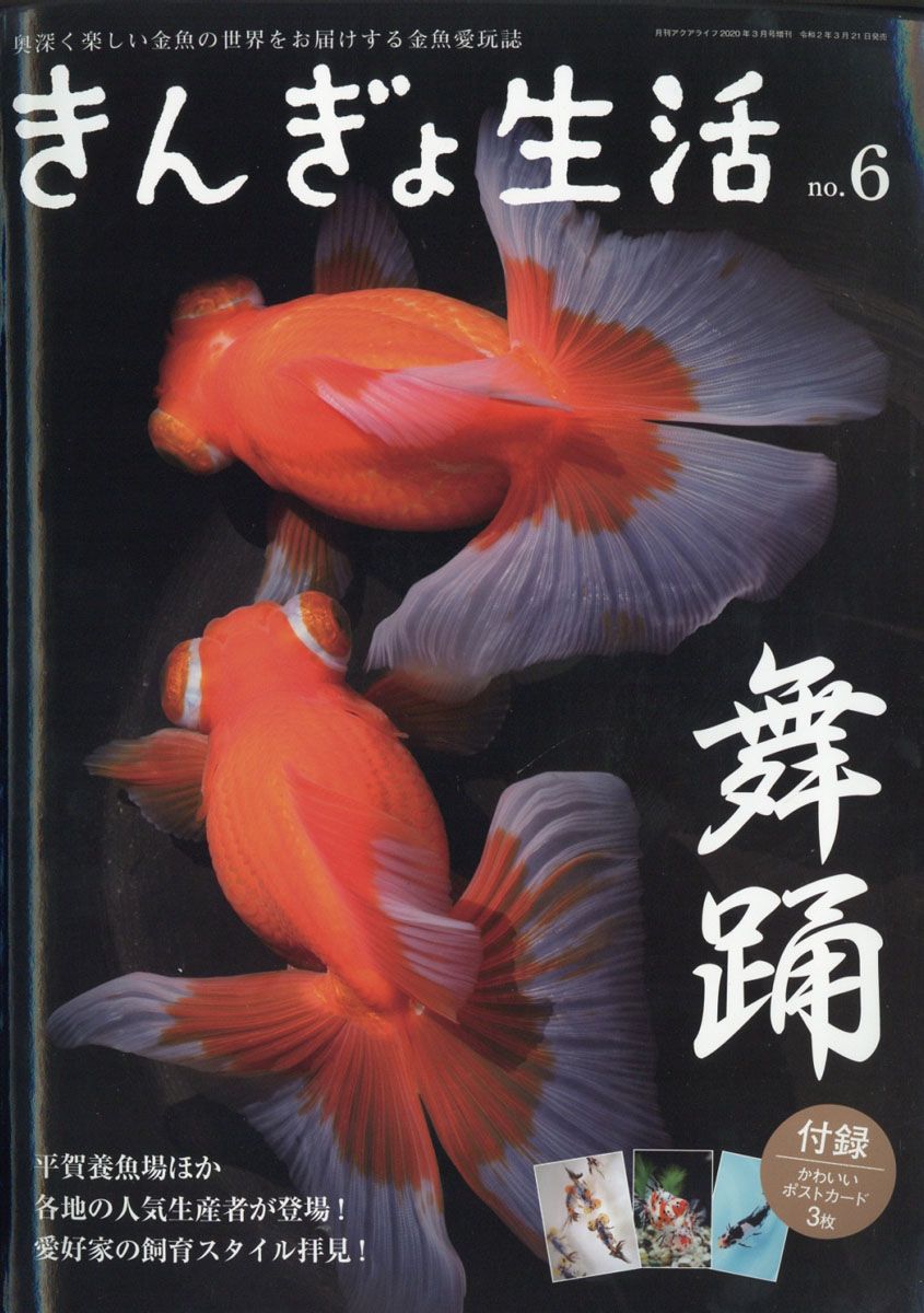 楽天ブックス きんぎょ生活 No 6 年 03月号 雑誌 エムピー ジェー 雑誌