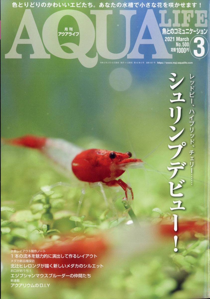 楽天ブックス 月刊 Aqua Life アクアライフ 21年 03月号 雑誌 エムピー ジェー 雑誌