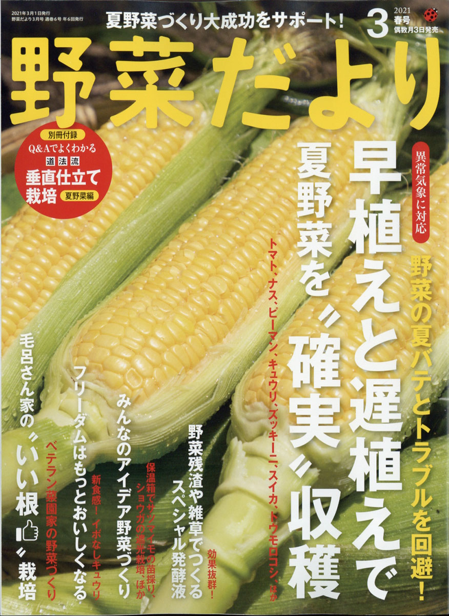 楽天ブックス 野菜だより 21年 03月号 雑誌 ブティック社 雑誌