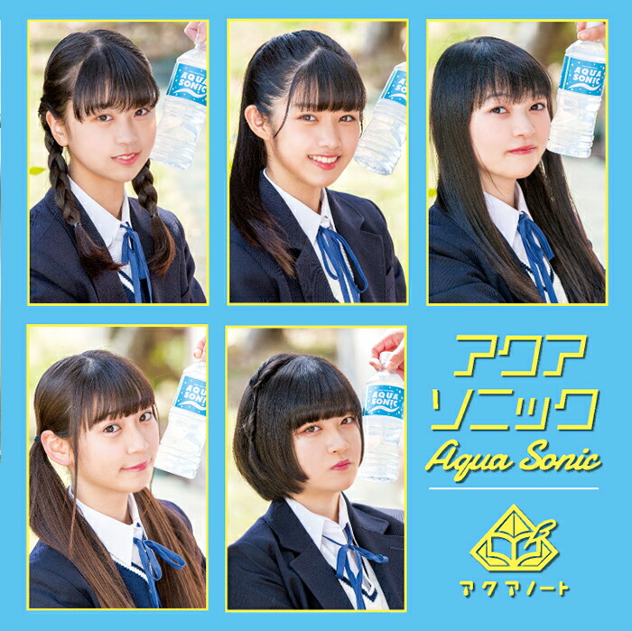 楽天市場】【送料無料】アクオリアSWM300用 取替用 マグネシウム合金板