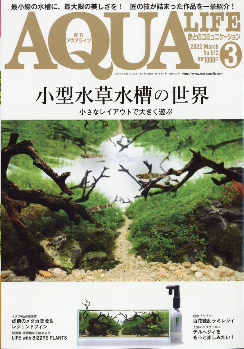 楽天ブックス: 月刊 AQUA LIFE (アクアライフ) 2022年 03月号 [雑誌