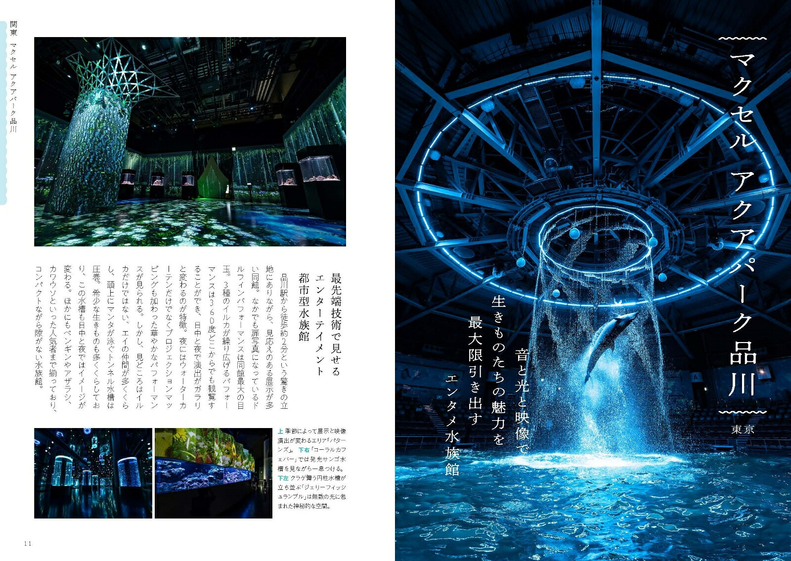 日本の美しい水族館[銀鏡つかさ]