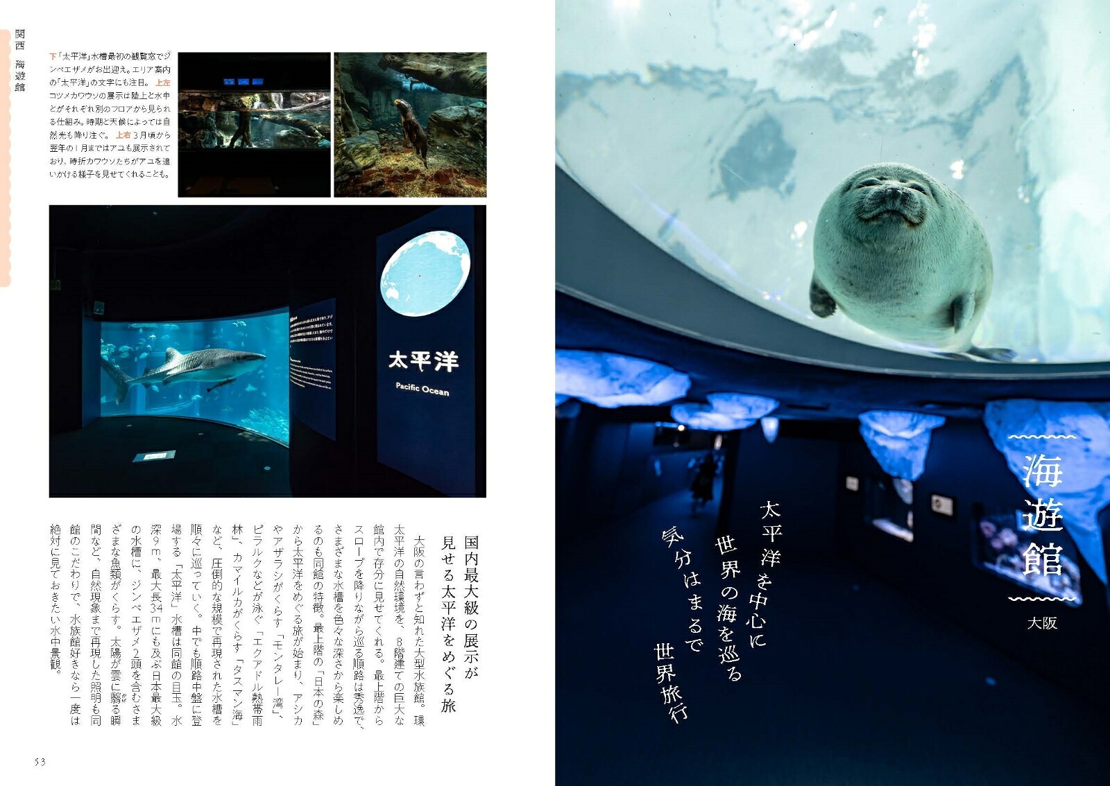 日本の美しい水族館[銀鏡つかさ]
