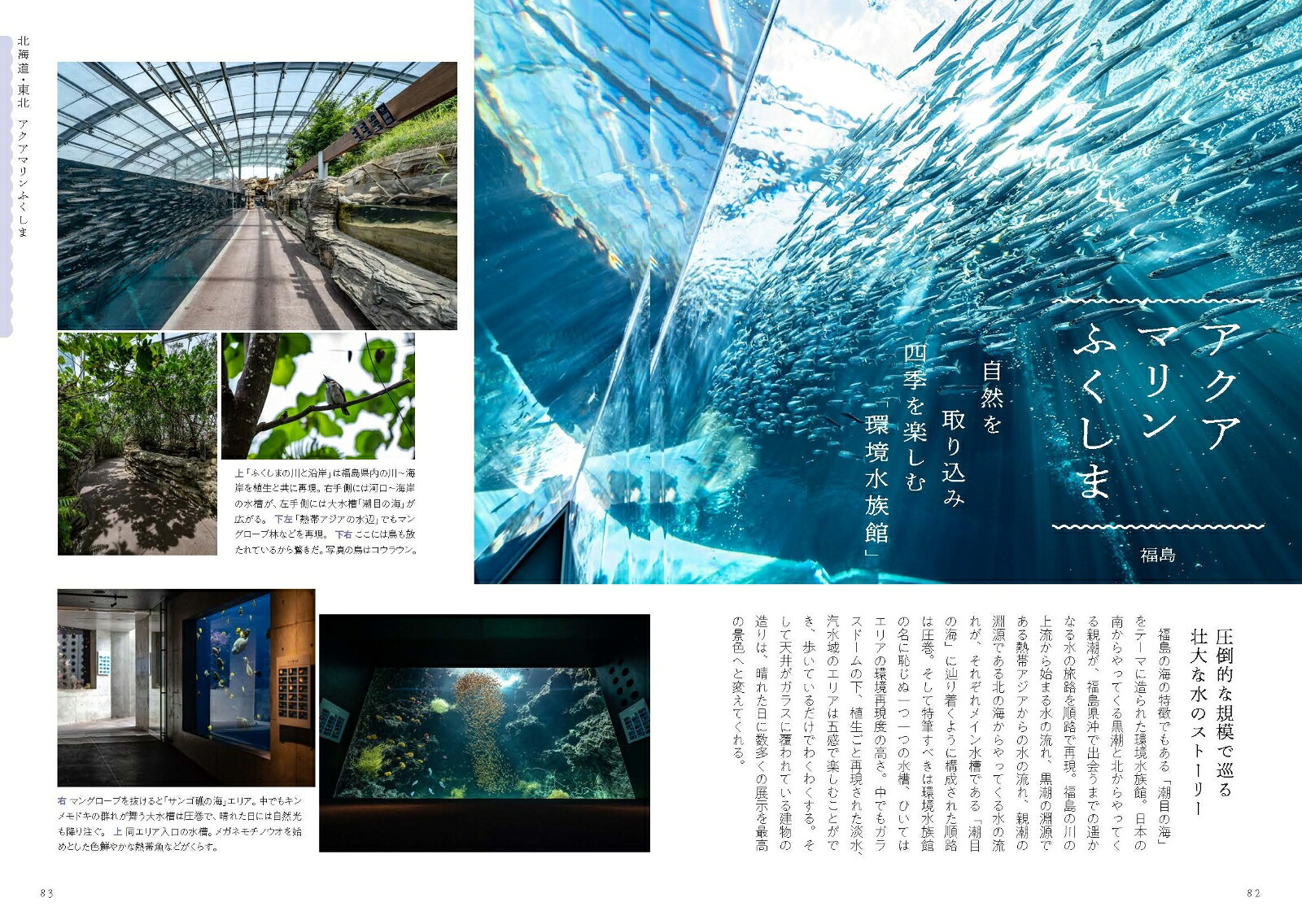日本の美しい水族館[銀鏡つかさ]