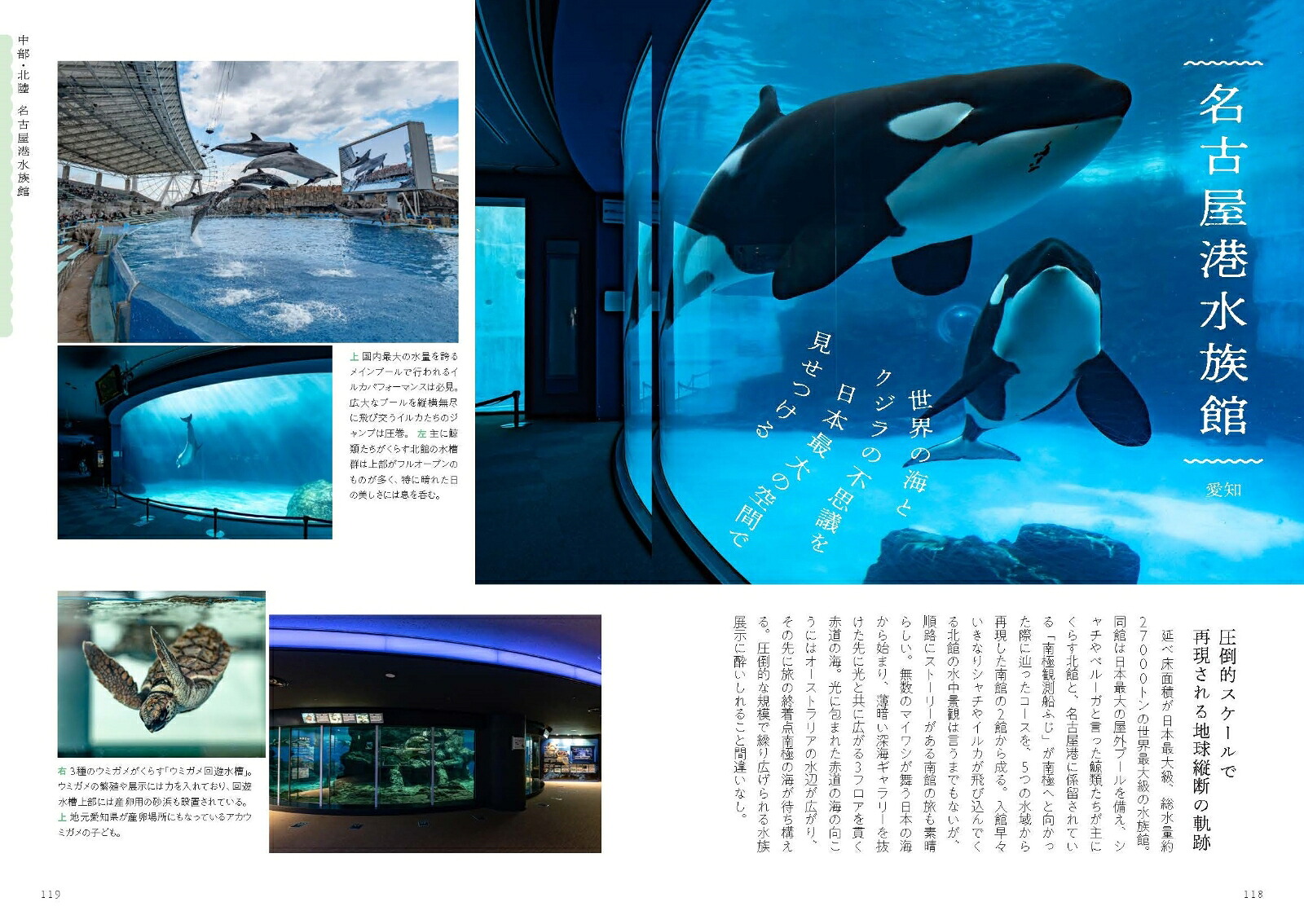 日本の美しい水族館[銀鏡つかさ]