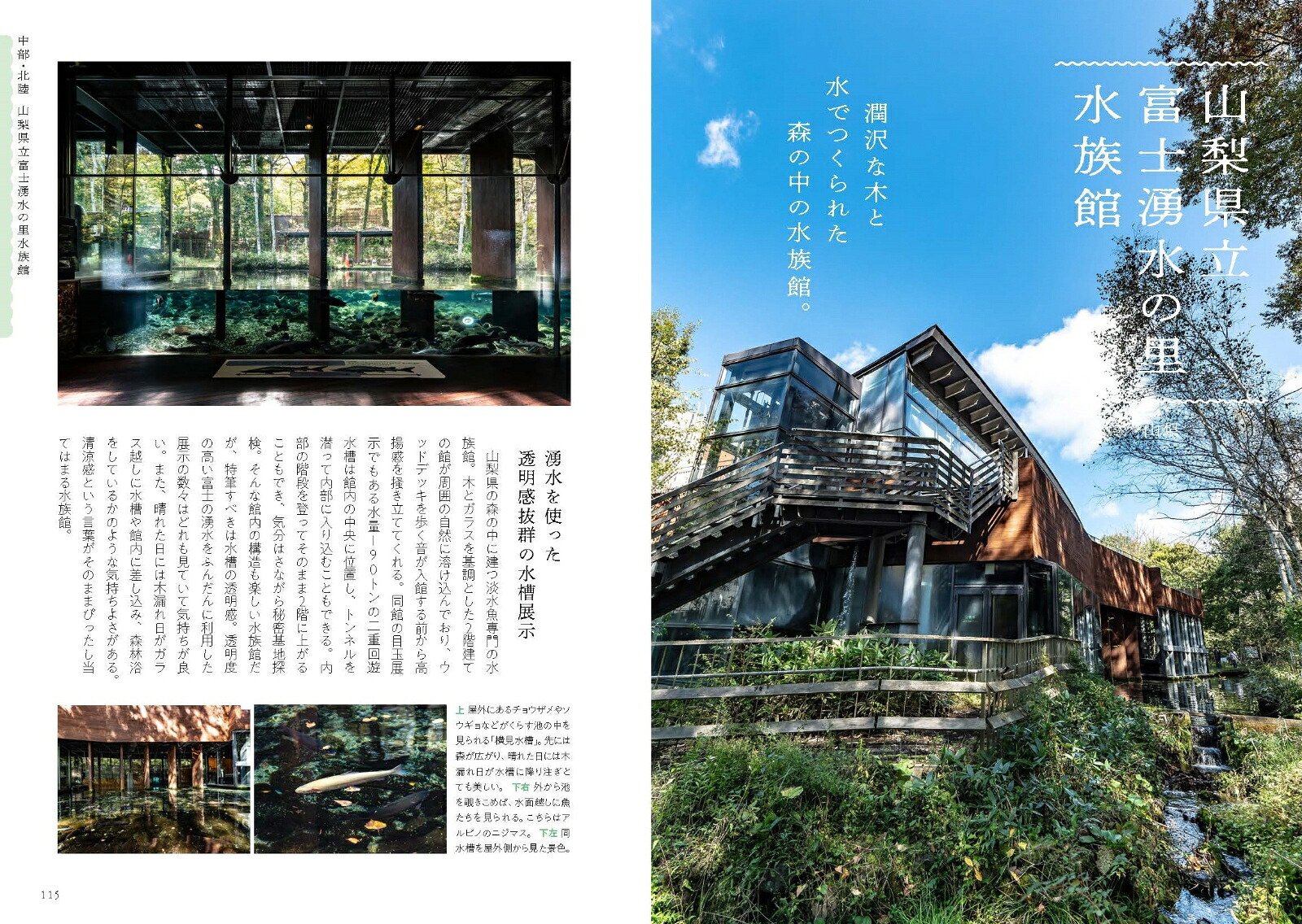 日本の美しい水族館[銀鏡つかさ]