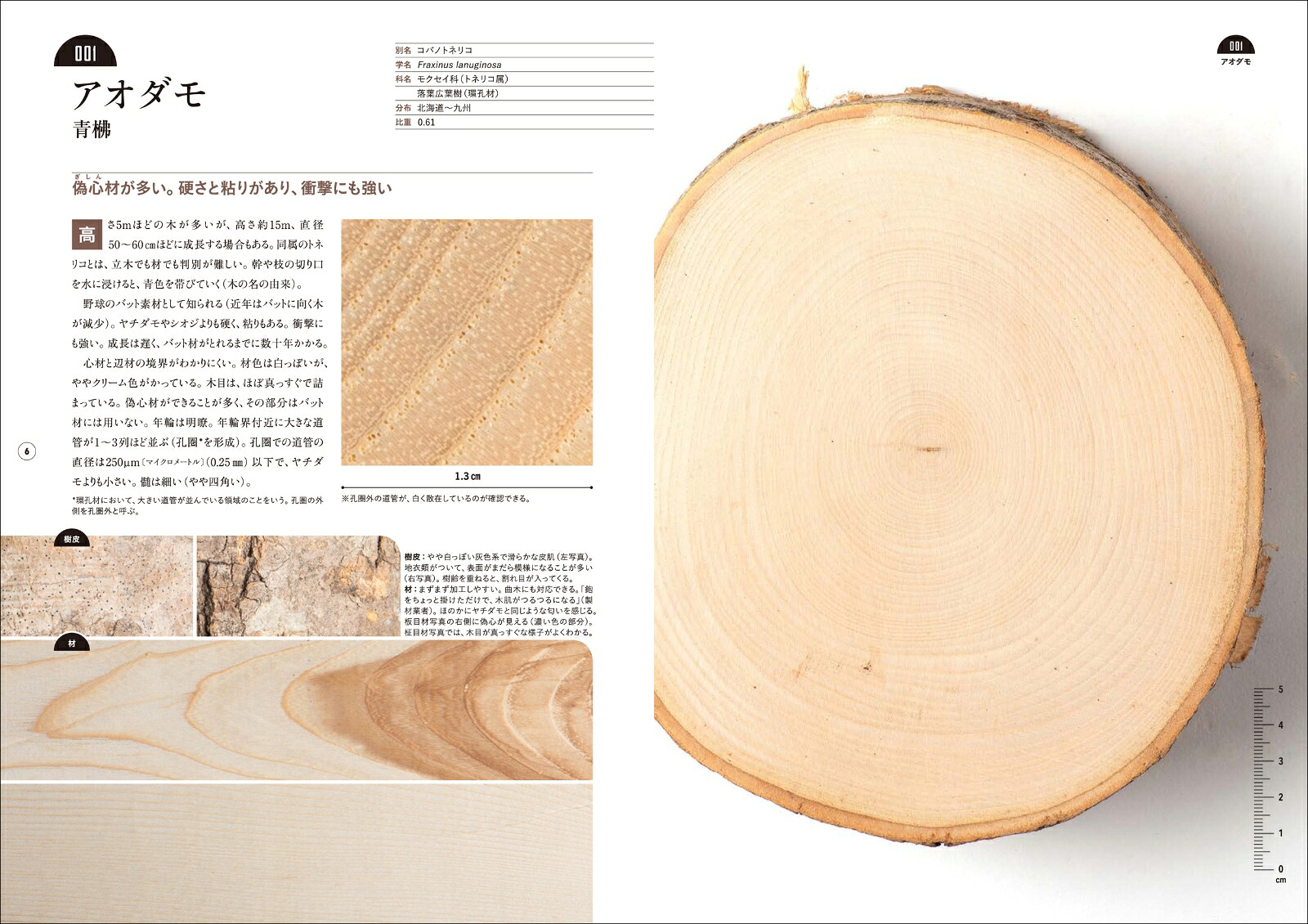 楽天ブックス: 板目・柾目・木口がわかる木の図鑑 - 日本の有用種101 - 西川 栄明 - 9784422440323 : 本