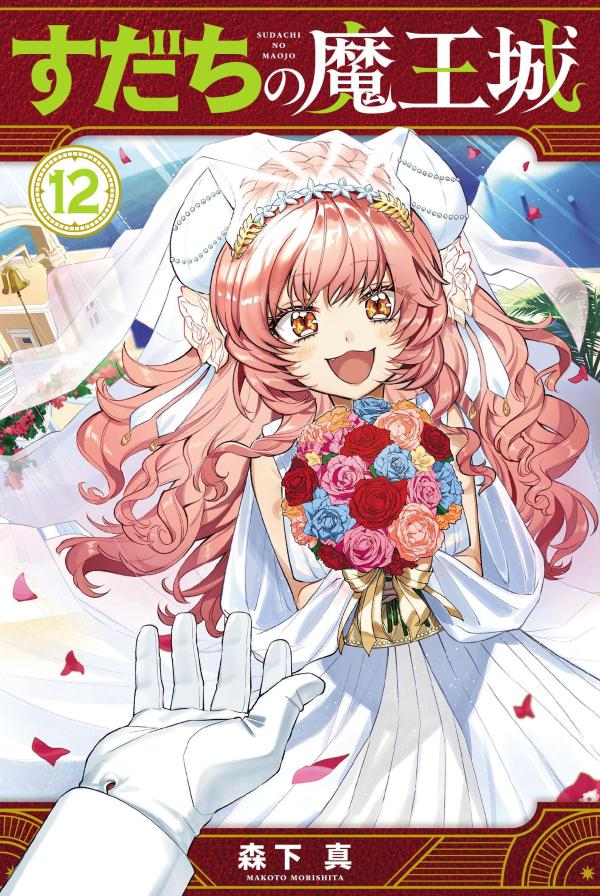 すだちの魔王城（12）画像