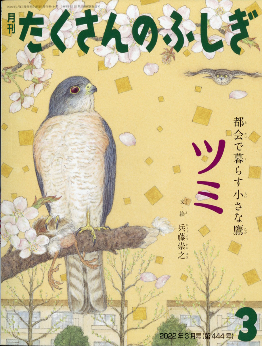 月刊 たくさんのふしぎ 2022年 03月号 [雑誌]