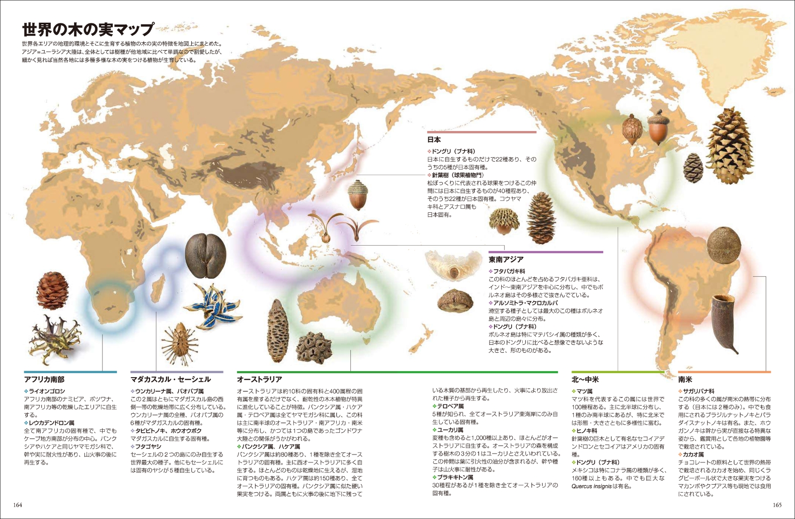 楽天ブックス 創元社 図鑑特集