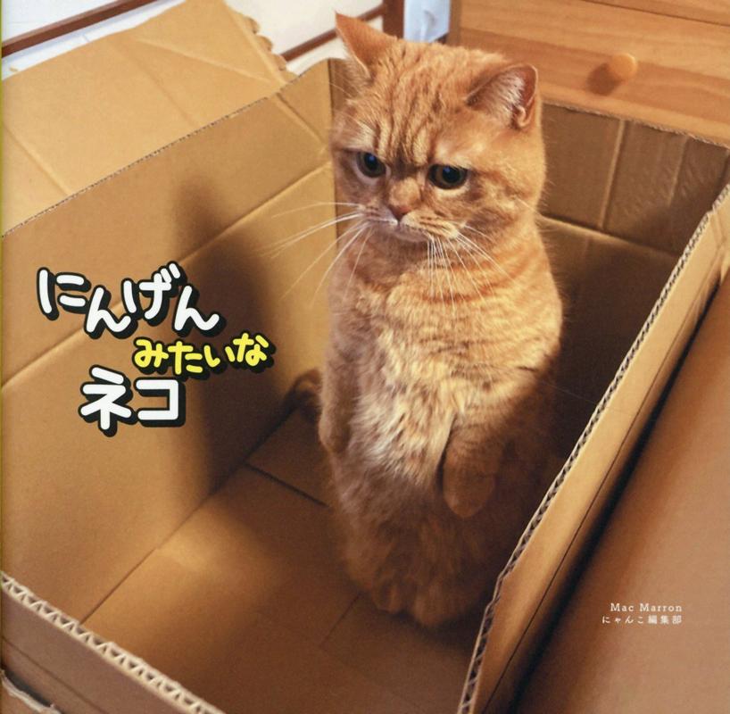 楽天市場】みきゃんのせつみ（ツムツム風） : 愛媛屋 楽天市場店