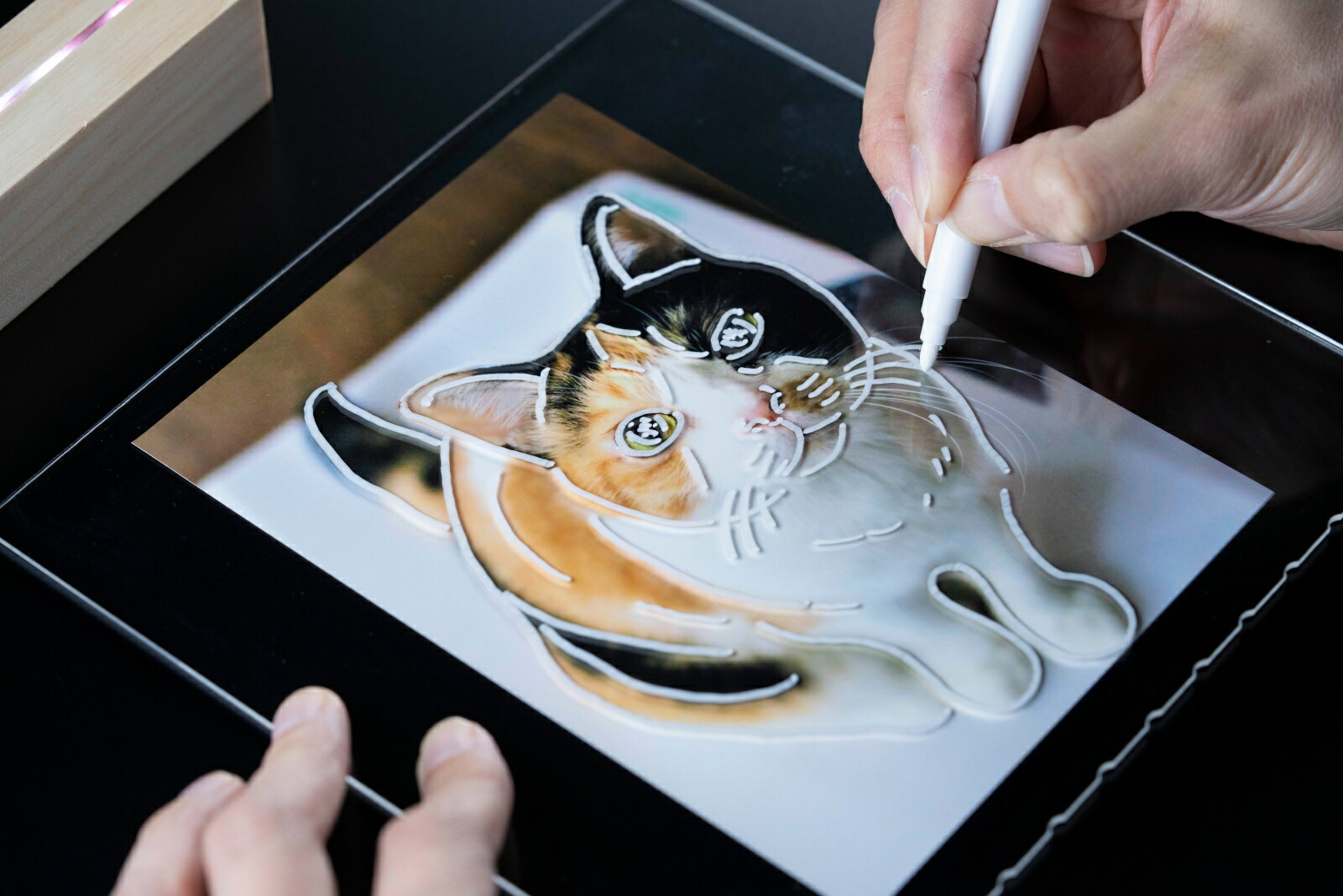 DIME()2023ǯ3[]ϿLEDܡɡ