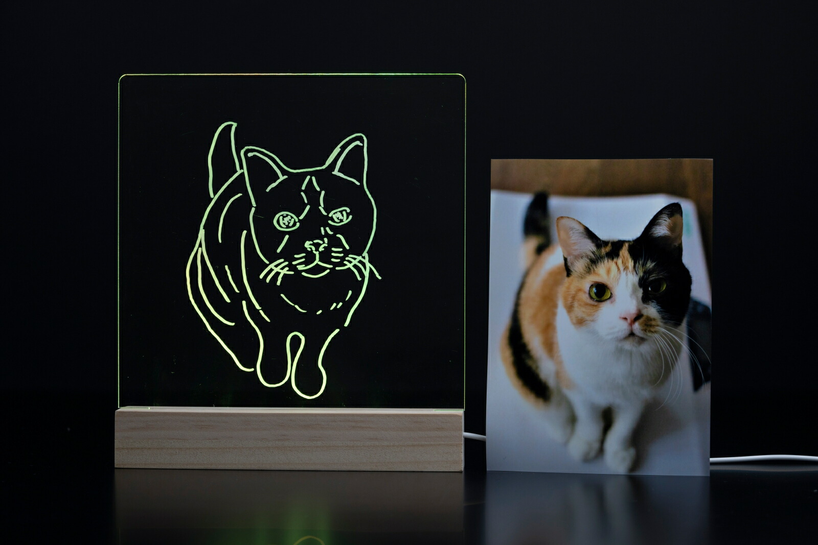 DIME()2023ǯ3[]ϿLEDܡɡ