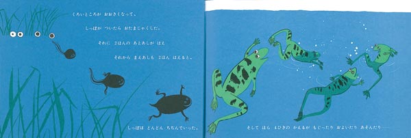 椫ʤܥ꡼[ꥨåȡڥ]