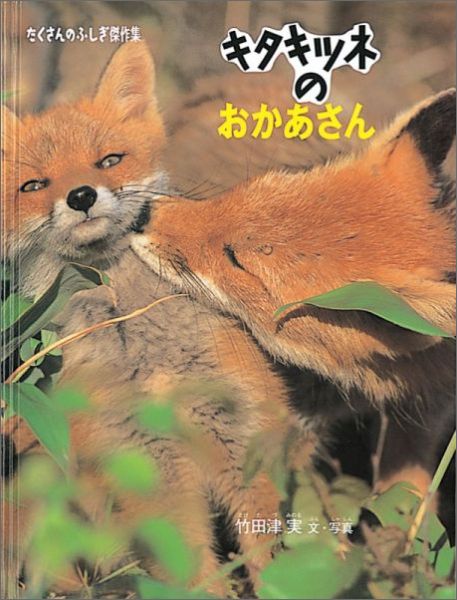 キタキツネのおかあさん（たくさんのふしぎ傑作集）[竹田津実]