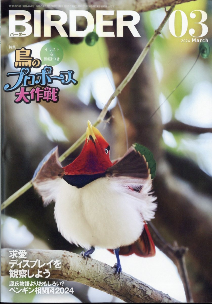 楽天ブックス: BIRDER (バーダー) 2024年 3月号 [雑誌] - 文一総合出版 - 4910175450349 : 雑誌