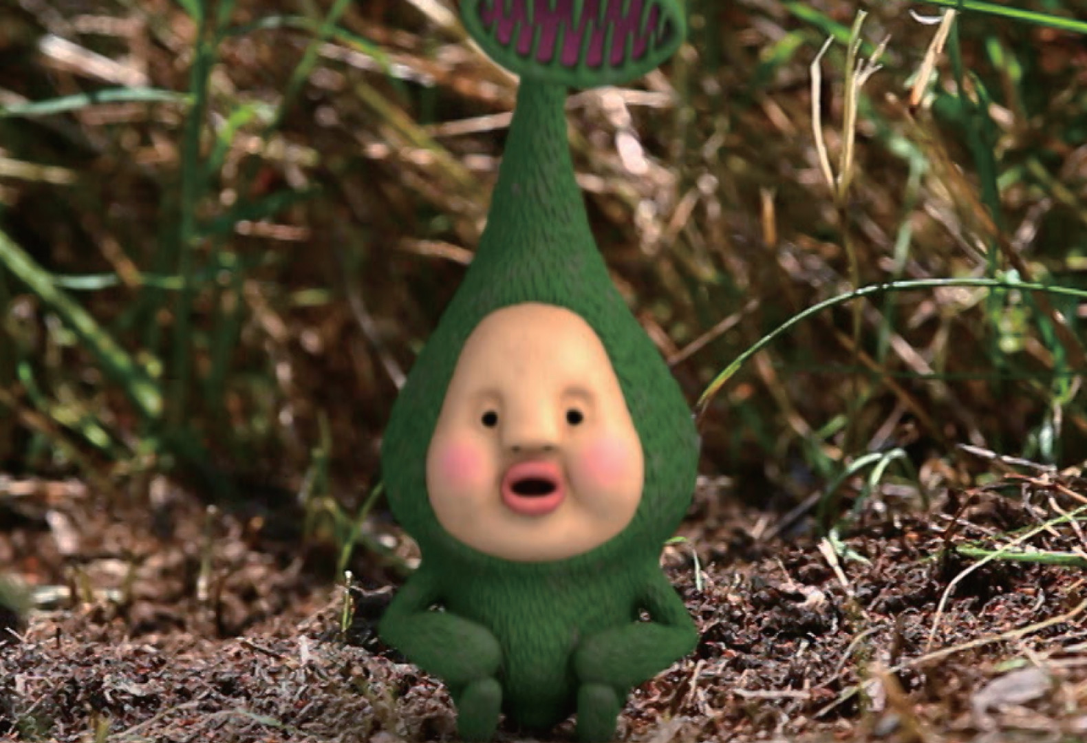 DVDこびと観察入門傑作選マモリカブトユキオトモモゾノオトリ編＋大研究（こびとづかん）[なばたとしたか]