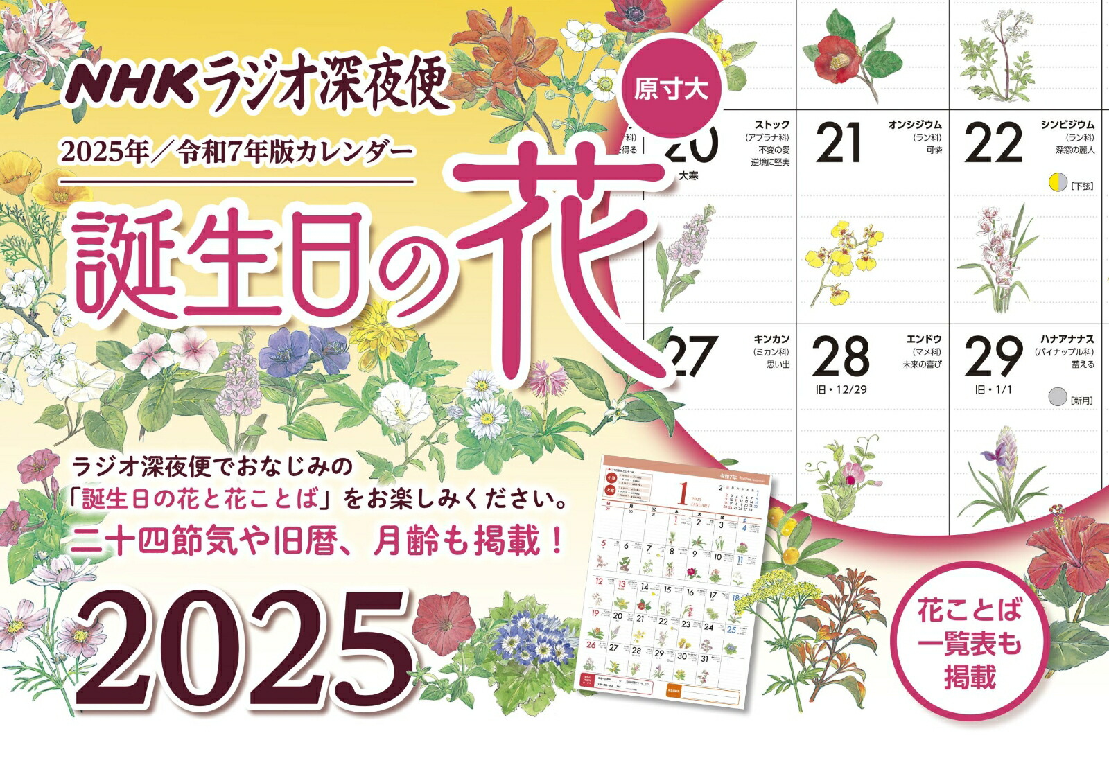 饸β֥2025ǯ