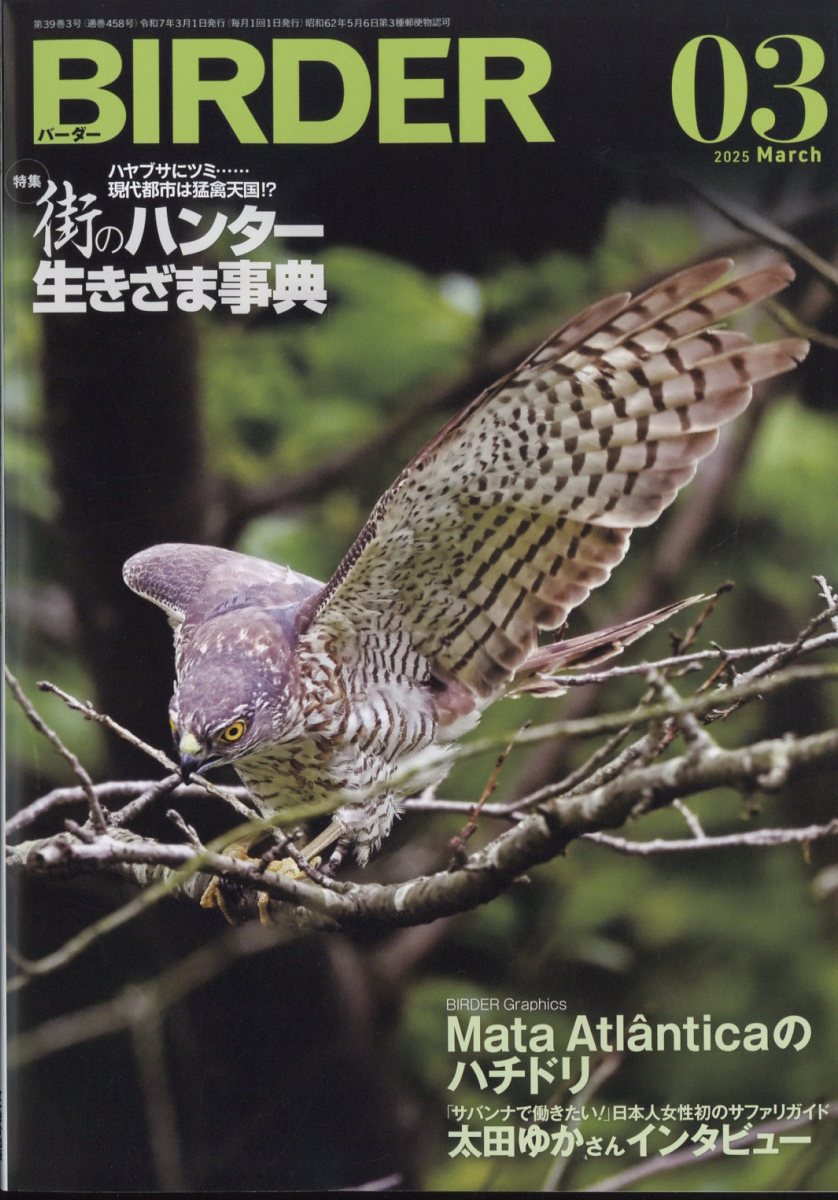 BIRDER(С)2025ǯ3[]