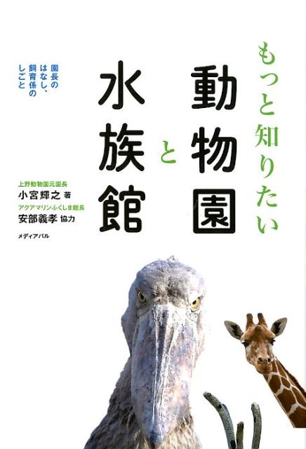 楽天ブックス もっと知りたい動物園と水族館 園長のはなし 飼育係のしごと 小宮輝之 本