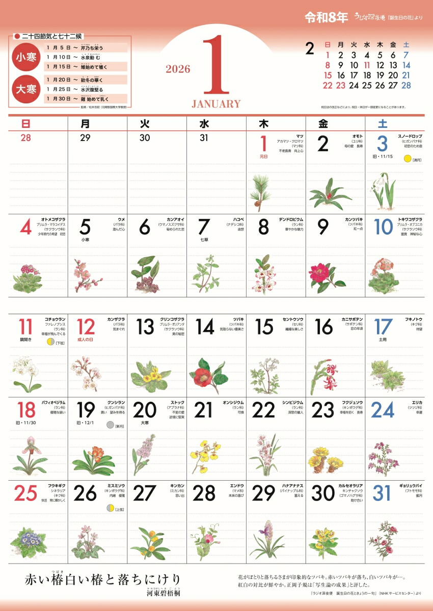 �饸���������������β֥�������2026ǯ��