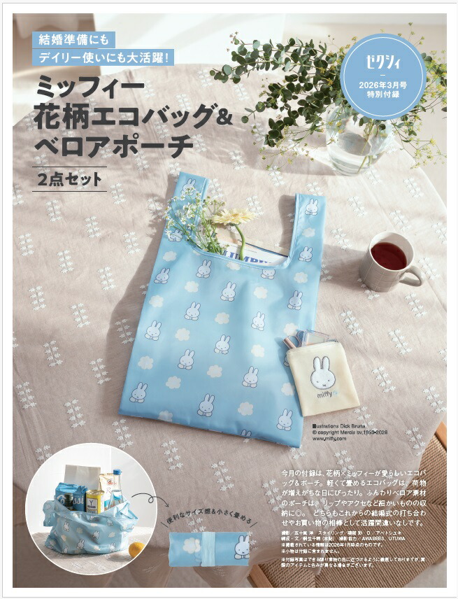 ��������������ڷ���2026ǯ03���[����]