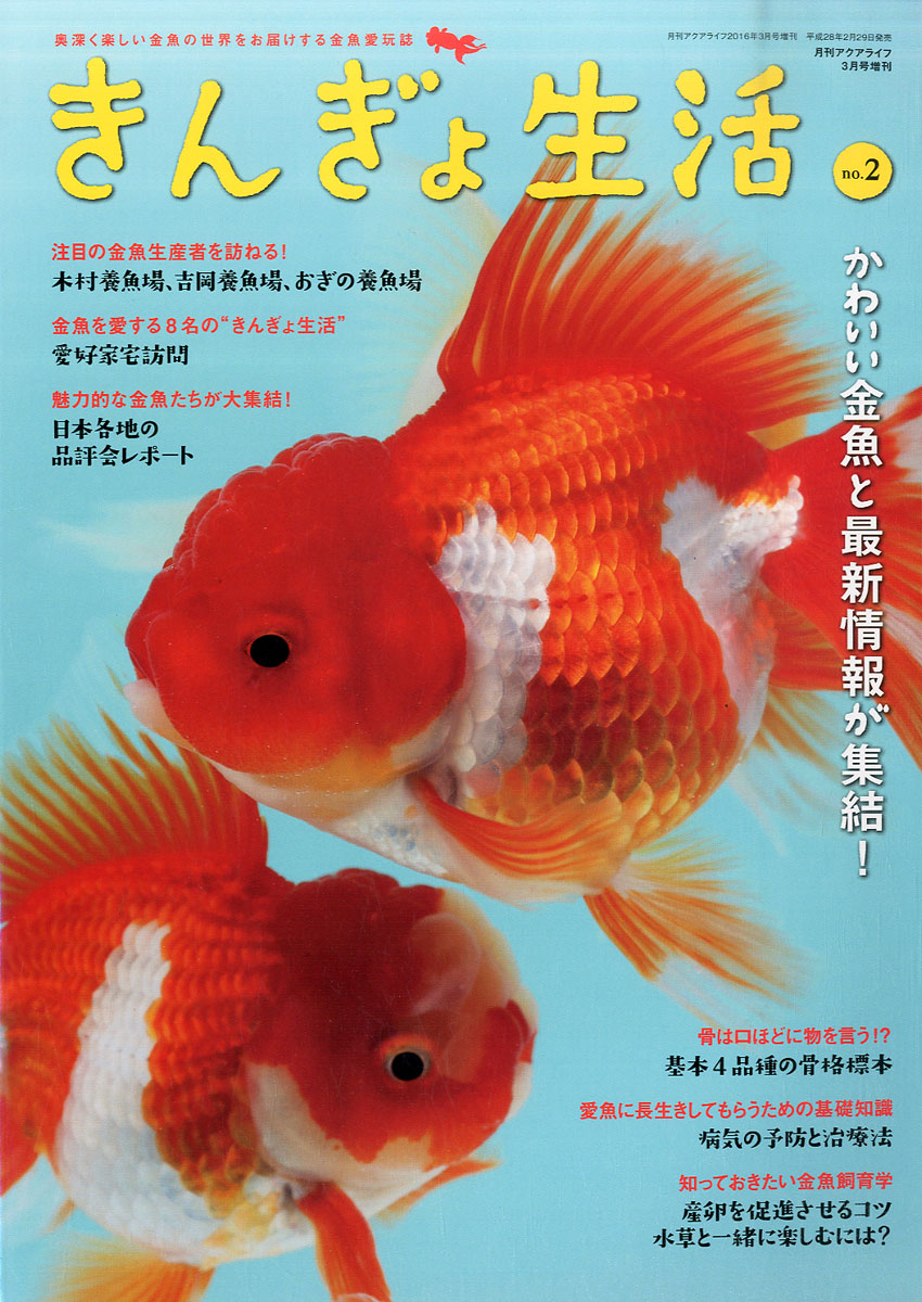 楽天ブックス きんぎょ生活 No 2 16年 03月号 雑誌 エムピー ジェー 雑誌