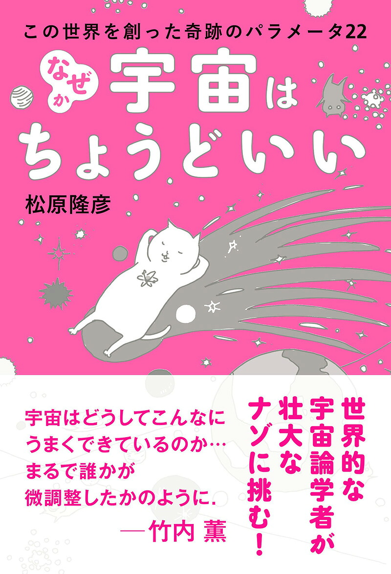 なぜか宇宙はちょうどいいこの世界を創った奇跡のパラメータ22[松原隆彦]