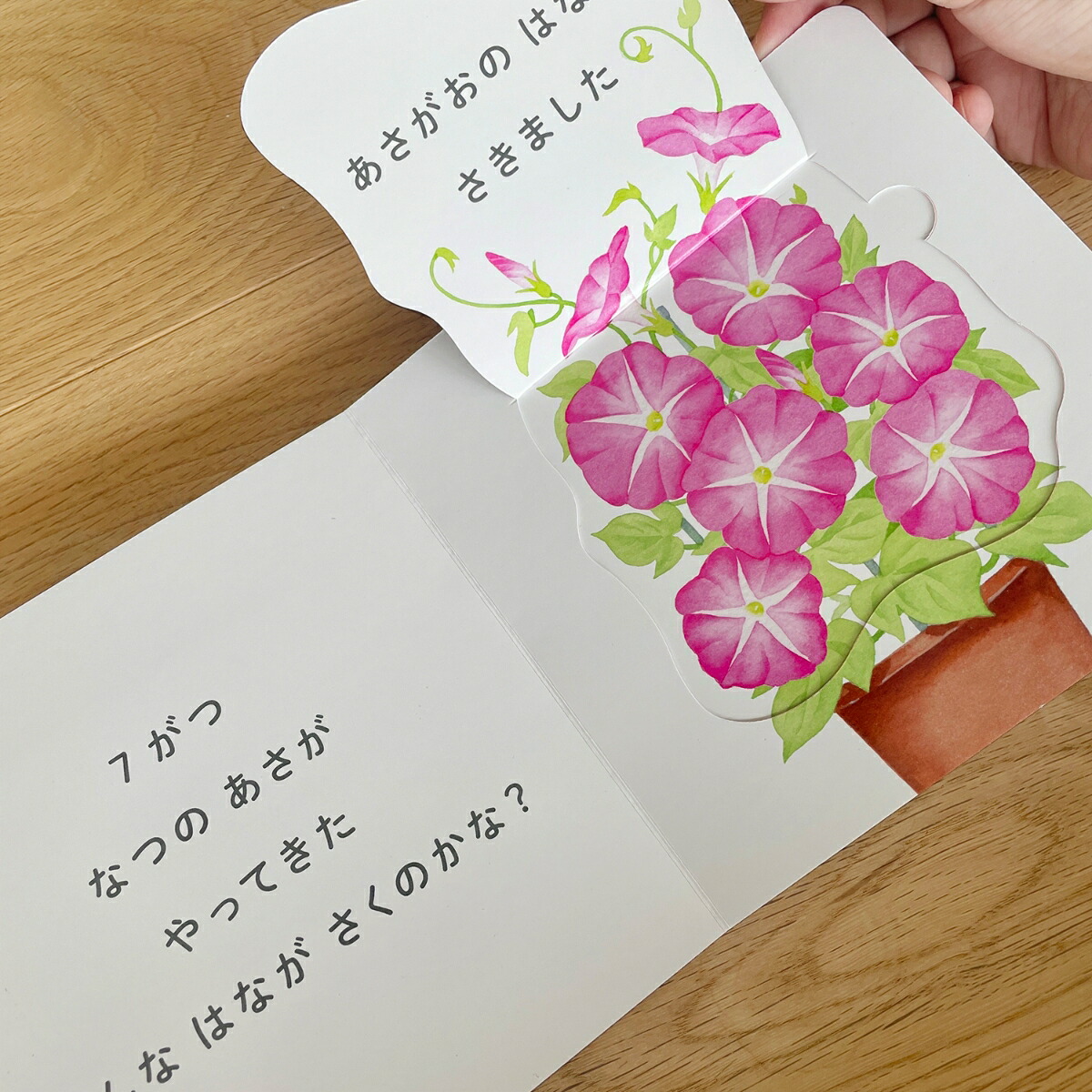 ɤʤϤʤĤΤϤʡʤۤ󥷥꡼[Τ]