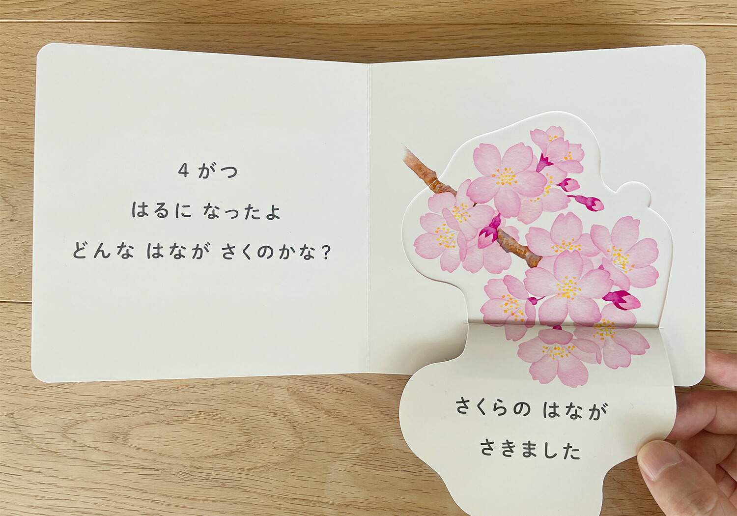 ɤʤϤʤĤΤϤʡʤۤ󥷥꡼[Τ]