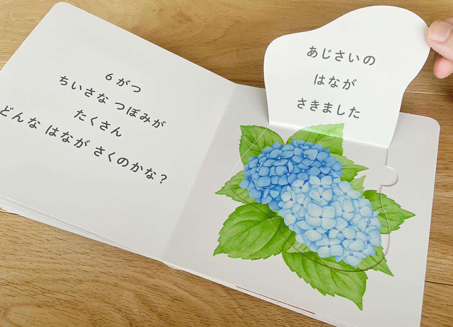 ɤʤϤʤĤΤϤʡʤۤ󥷥꡼[Τ]