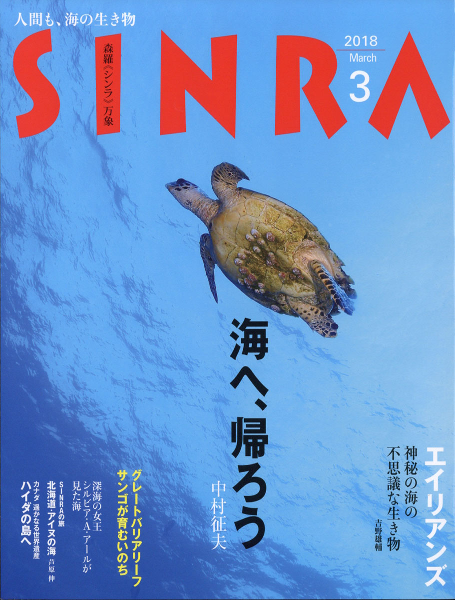 sinra 雑誌 楽天