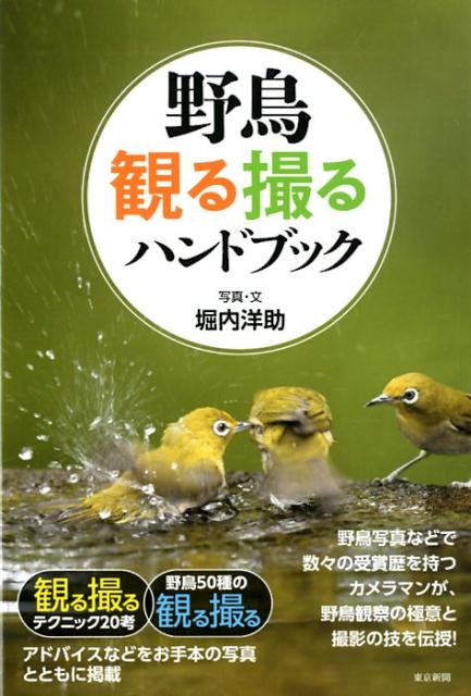 楽天ブックス: 野鳥観る撮るハンドブック - 堀内洋助 - 9784808310394 : 本